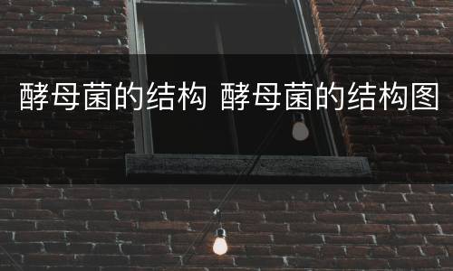 酵母菌的结构 酵母菌的结构图