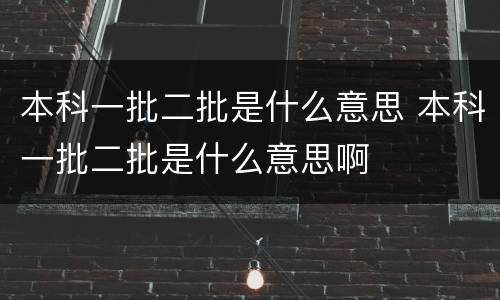 本科一批二批是什么意思 本科一批二批是什么意思啊