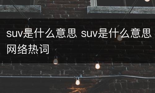 suv是什么意思 suv是什么意思网络热词