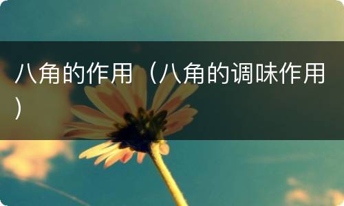 八角的作用（八角的调味作用）