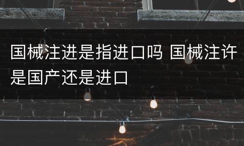 国械注进是指进口吗 国械注许是国产还是进口