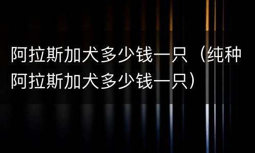 阿拉斯加犬多少钱一只（纯种阿拉斯加犬多少钱一只）