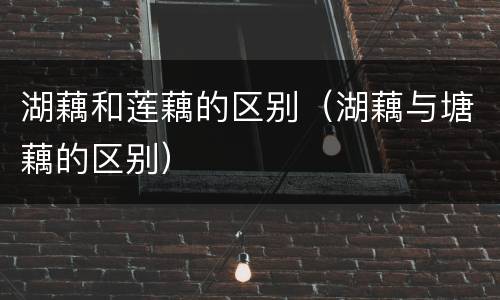 湖藕和莲藕的区别（湖藕与塘藕的区别）
