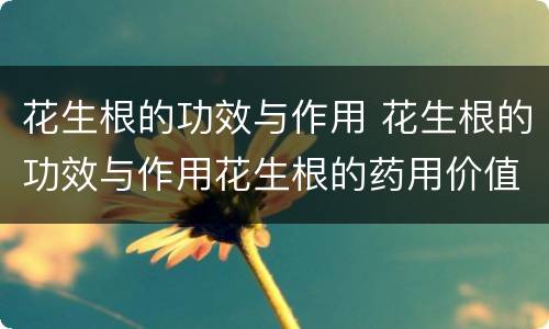花生根的功效与作用 花生根的功效与作用花生根的药用价值