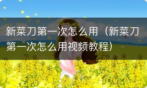 新菜刀第一次怎么用（新菜刀第一次怎么用视频教程）