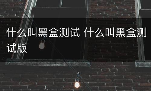 什么叫黑盒测试 什么叫黑盒测试版