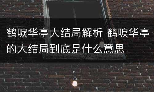 鹤唳华亭大结局解析 鹤唳华亭的大结局到底是什么意思