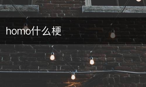 homo什么梗