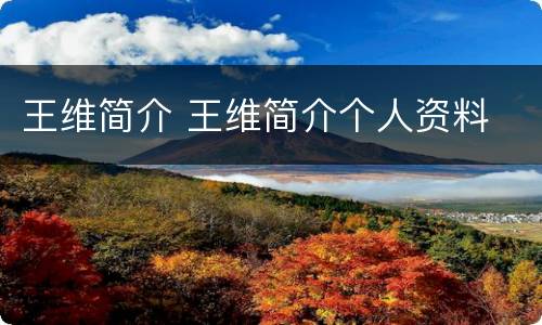 王维简介 王维简介个人资料