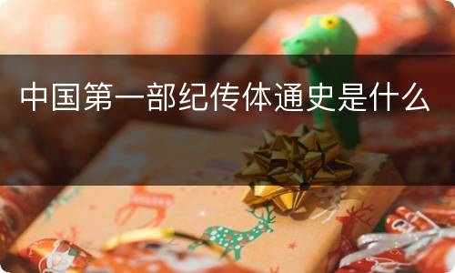 中国第一部纪传体通史是什么