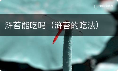 浒苔能吃吗（浒苔的吃法）