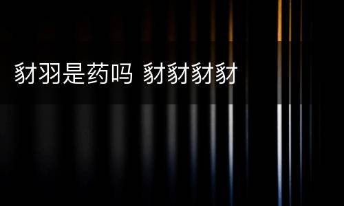 豺羽是药吗 豺豺豺豺