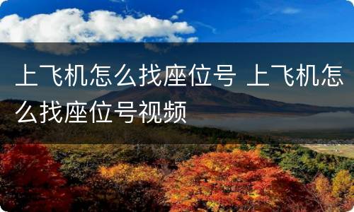 上飞机怎么找座位号 上飞机怎么找座位号视频