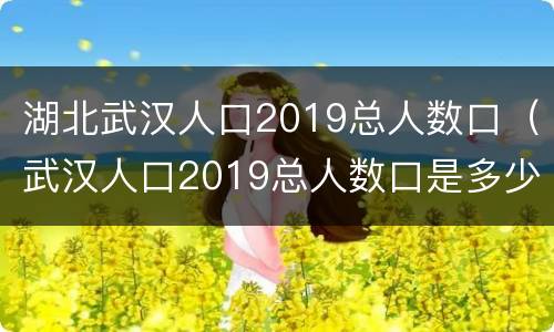 湖北武汉人口2019总人数口（武汉人口2019总人数口是多少）