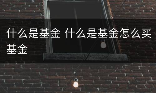 什么是基金 什么是基金怎么买基金