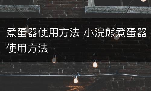 煮蛋器使用方法 小浣熊煮蛋器使用方法