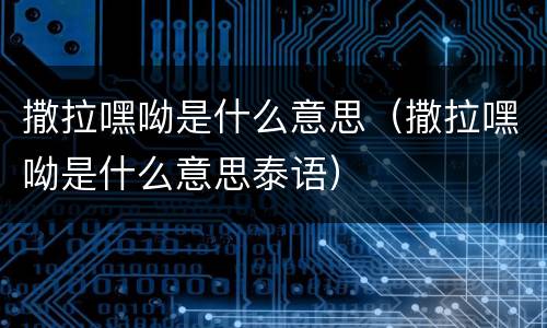 撒拉嘿呦是什么意思（撒拉嘿呦是什么意思泰语）