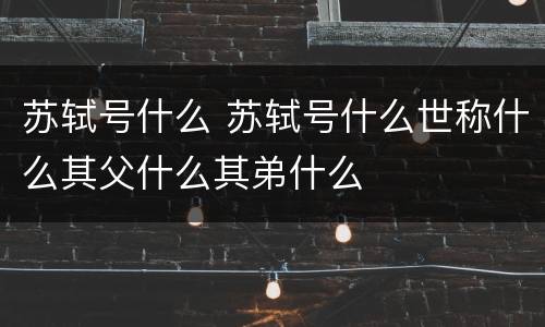 苏轼号什么 苏轼号什么世称什么其父什么其弟什么