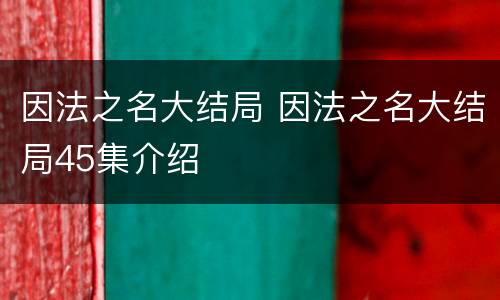 因法之名大结局 因法之名大结局45集介绍