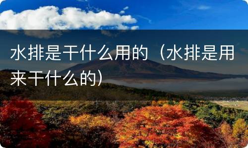 水排是干什么用的（水排是用来干什么的）