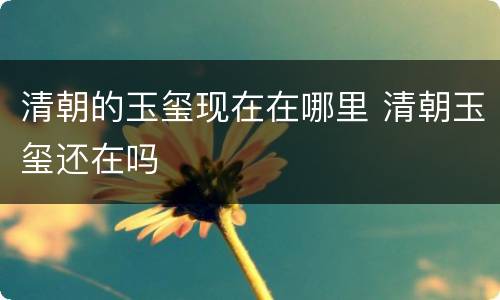 清朝的玉玺现在在哪里 清朝玉玺还在吗