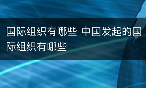 国际组织有哪些 中国发起的国际组织有哪些