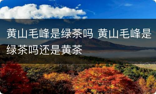 黄山毛峰是绿茶吗 黄山毛峰是绿茶吗还是黄茶