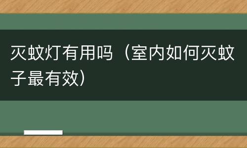 灭蚊灯有用吗（室内如何灭蚊子最有效）