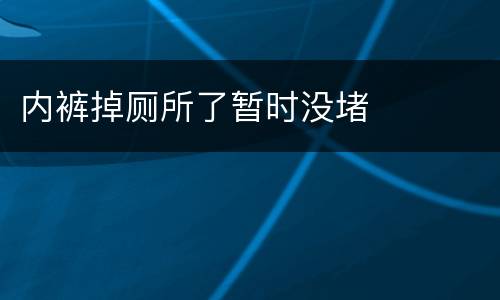 内裤掉厕所了暂时没堵