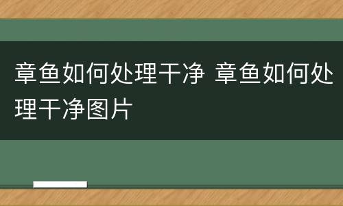 章鱼如何处理干净 章鱼如何处理干净图片