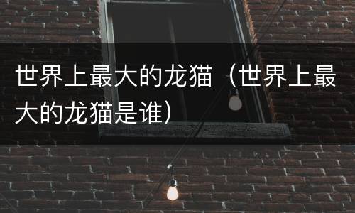 世界上最大的龙猫（世界上最大的龙猫是谁）