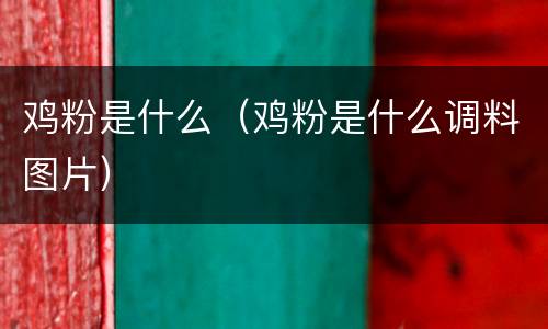 鸡粉是什么（鸡粉是什么调料图片）