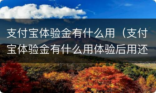 支付宝体验金有什么用（支付宝体验金有什么用体验后用还吗）