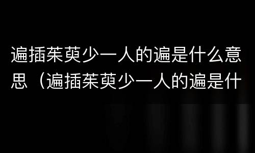 遍插茱萸少一人的遍是什么意思（遍插茱萸少一人的遍是什么意思 百度网盘）