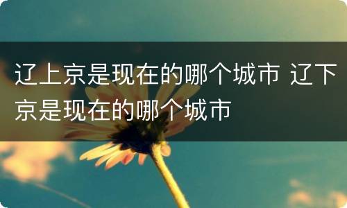 辽上京是现在的哪个城市 辽下京是现在的哪个城市