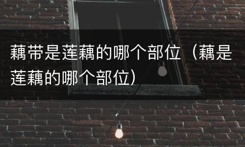 藕带是莲藕的哪个部位（藕是莲藕的哪个部位）