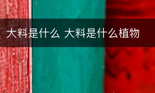 大料是什么 大料是什么植物