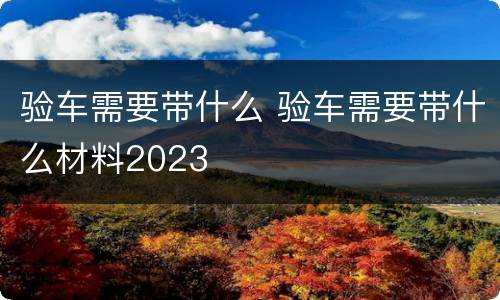 验车需要带什么 验车需要带什么材料2023