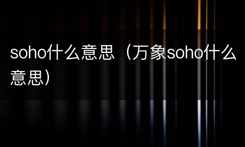 soho什么意思（万象soho什么意思）