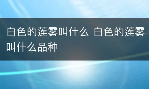 白色的莲雾叫什么 白色的莲雾叫什么品种