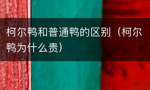 柯尔鸭和普通鸭的区别（柯尔鸭为什么贵）