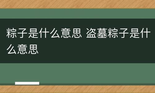 粽子是什么意思 盗墓粽子是什么意思