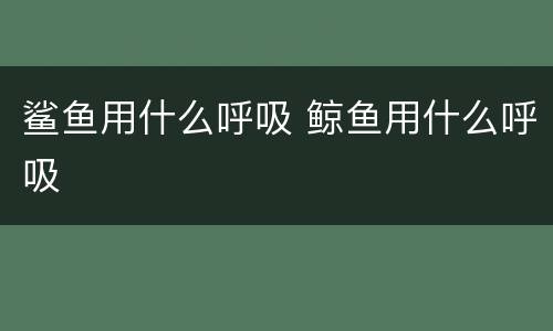 鲨鱼用什么呼吸 鲸鱼用什么呼吸