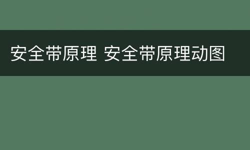 安全带原理 安全带原理动图