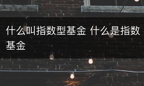 什么叫指数型基金 什么是指数基金