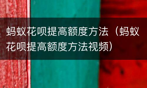 蚂蚁花呗提高额度方法（蚂蚁花呗提高额度方法视频）