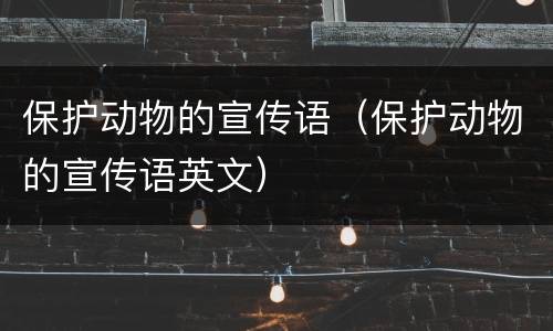 保护动物的宣传语（保护动物的宣传语英文）