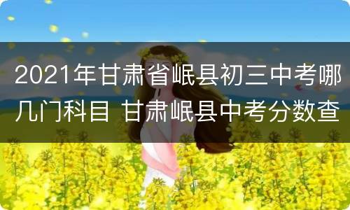 2021年甘肃省岷县初三中考哪几门科目 甘肃岷县中考分数查询