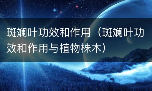 斑斓叶功效和作用（斑斓叶功效和作用与植物株木）