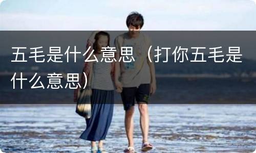 五毛是什么意思（打你五毛是什么意思）